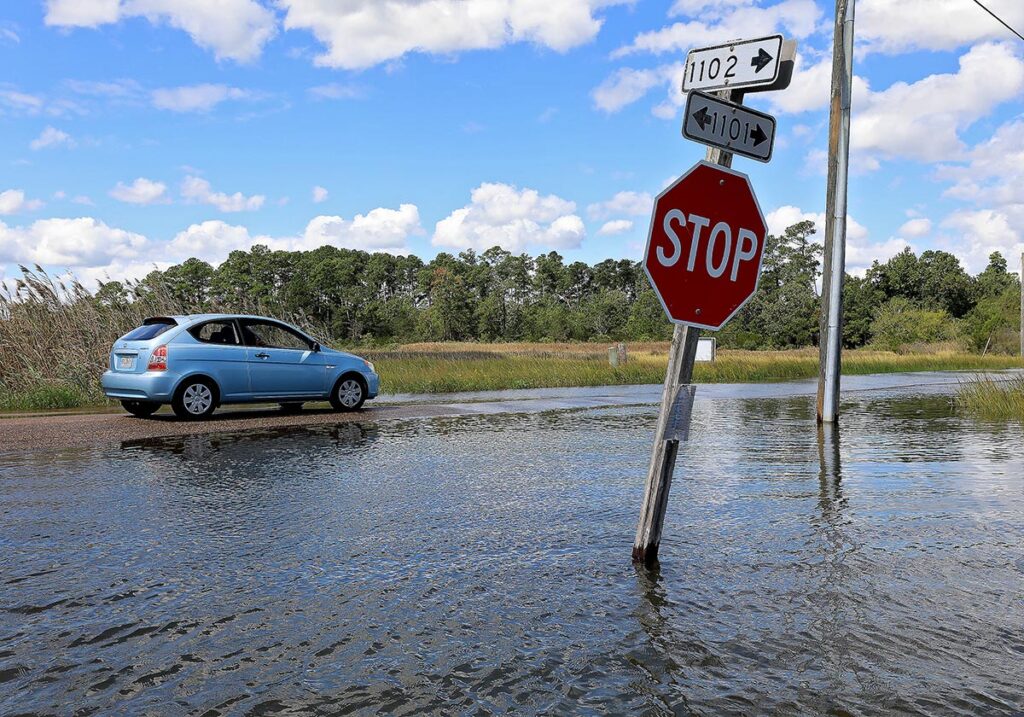 Tidal flooding pushes water across Perrin Creek Road and Cooks Landing Road in Guinea