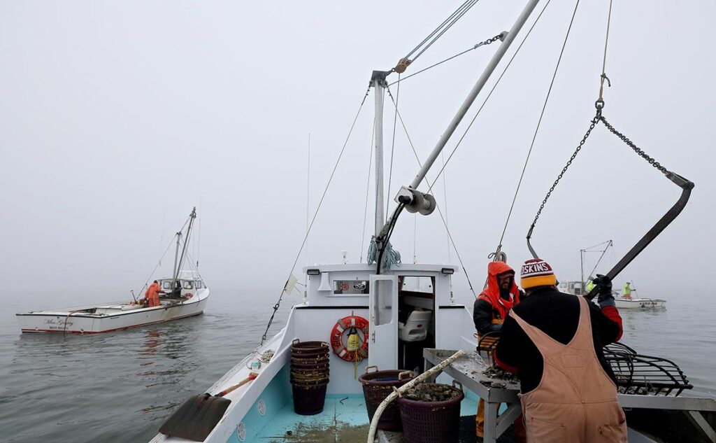 Many other deadrise fishing boats work the waters along side the Giunea Girl pulling oysters from the Rappahannock river