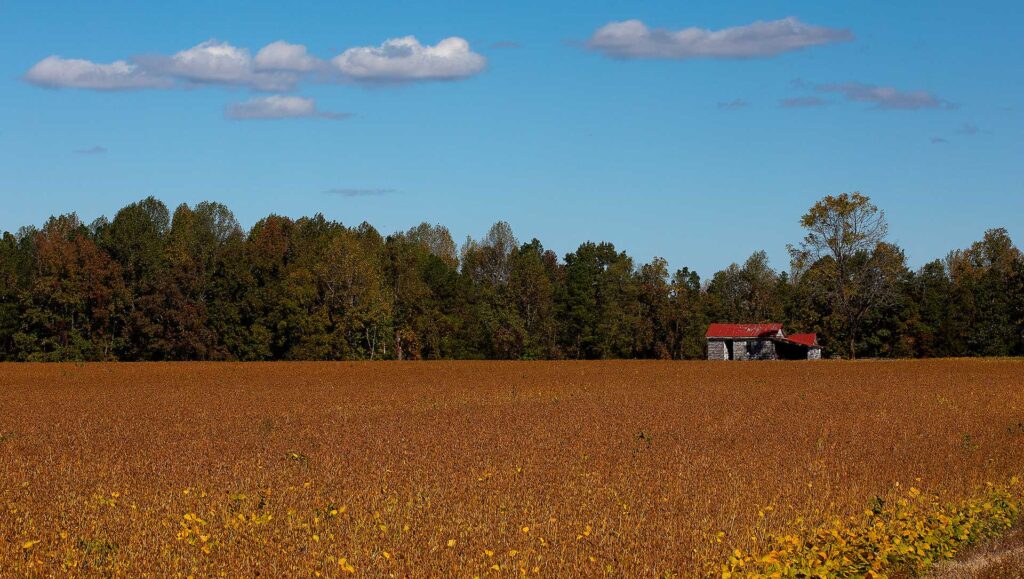 Country side in Essex County