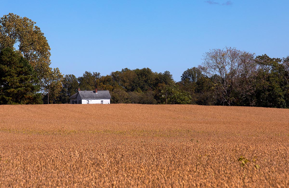 Country side in Essex County
