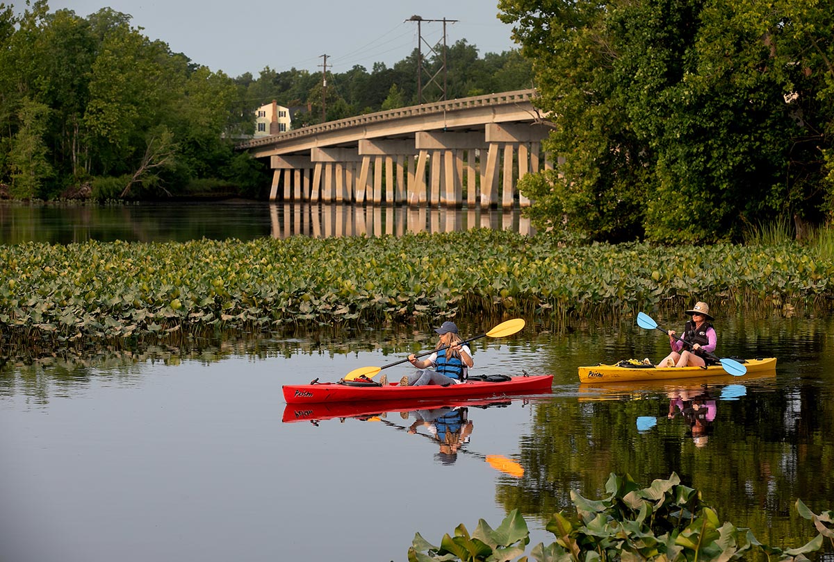 Kayaking on the Mattaponi River near Walkerton, Virginia